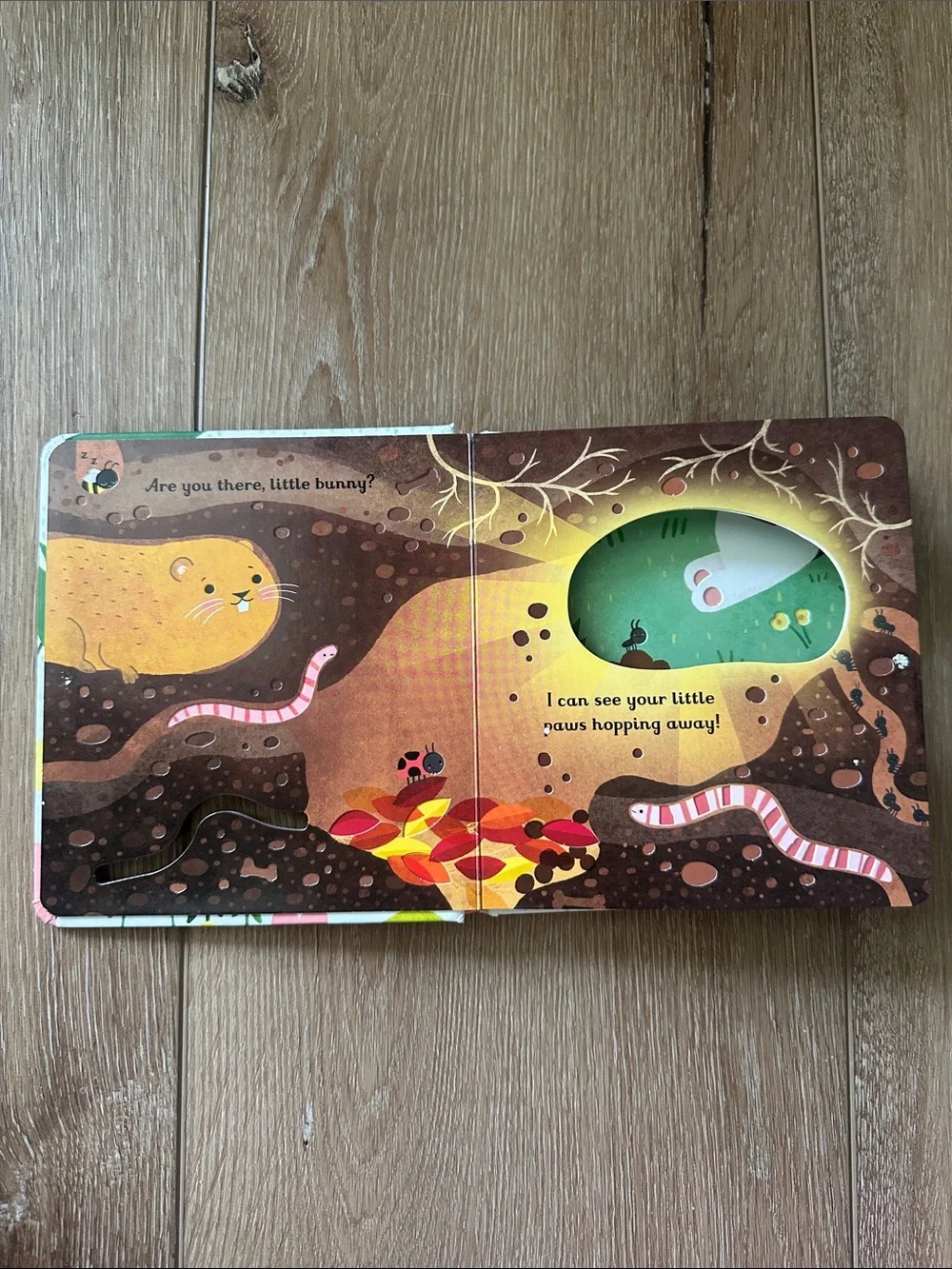 Usborne Are You There Little Bunny? Peak Thru Board Book